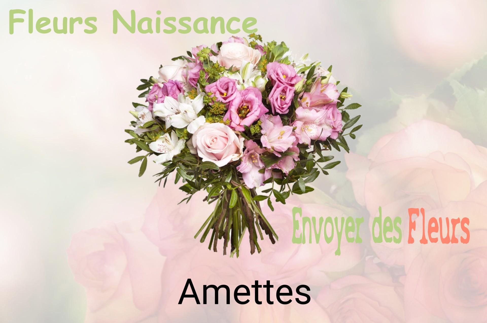 Bouquet de fleurs de naissance livré à Amettes