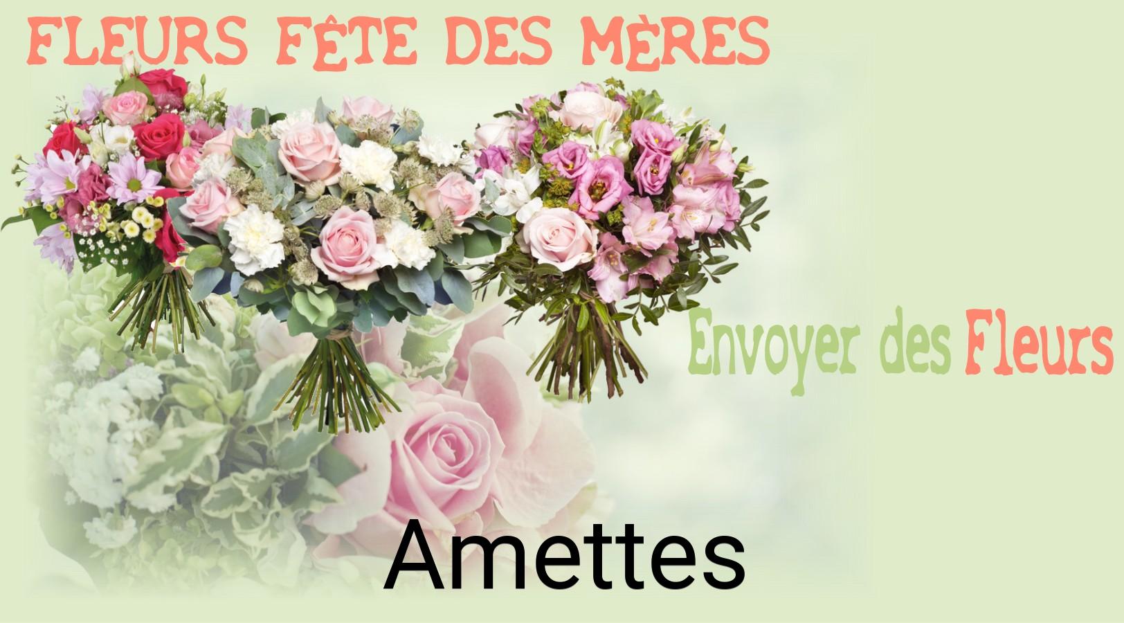Bouquet de Fête des Mères livré à Amettes